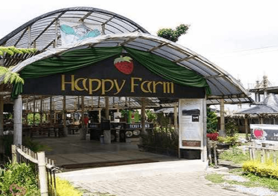 happyfarm