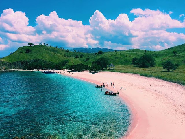 pantai pink lombok ntb