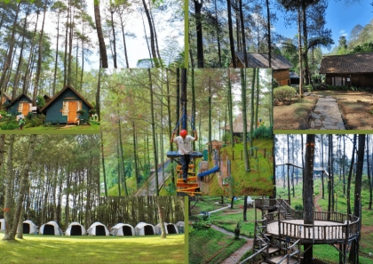 5 Wisata Hutan Pinus di Bandung, Cocok untuk Healing!