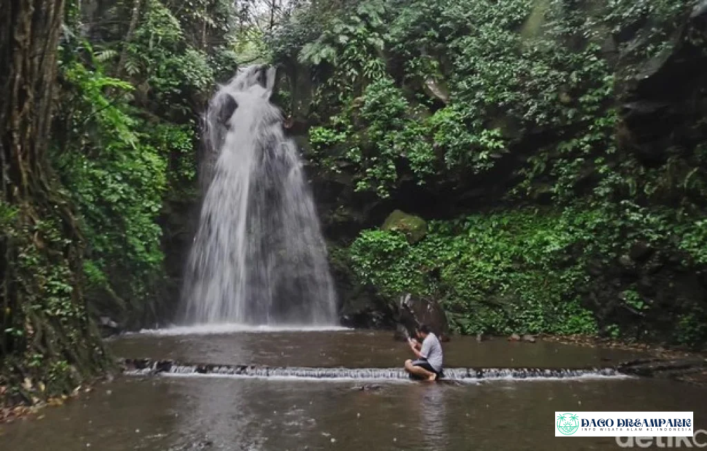Bumi Perkemahan Palutungan