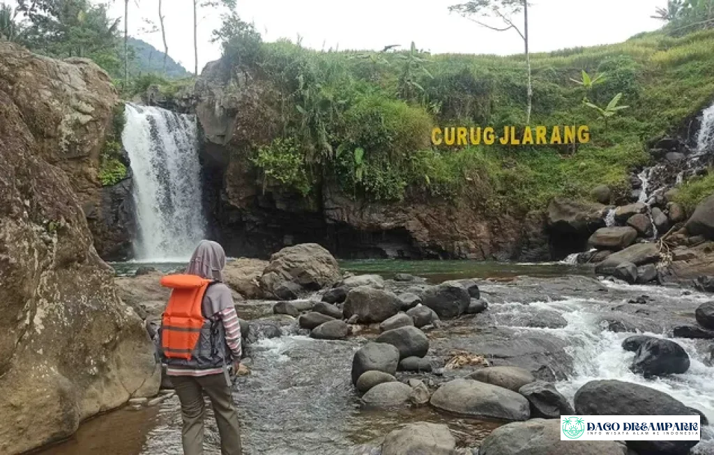 Curug Jlarang Pekalongan Di Tengah Sawah