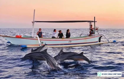 Dolphin Tour Bali Lovina