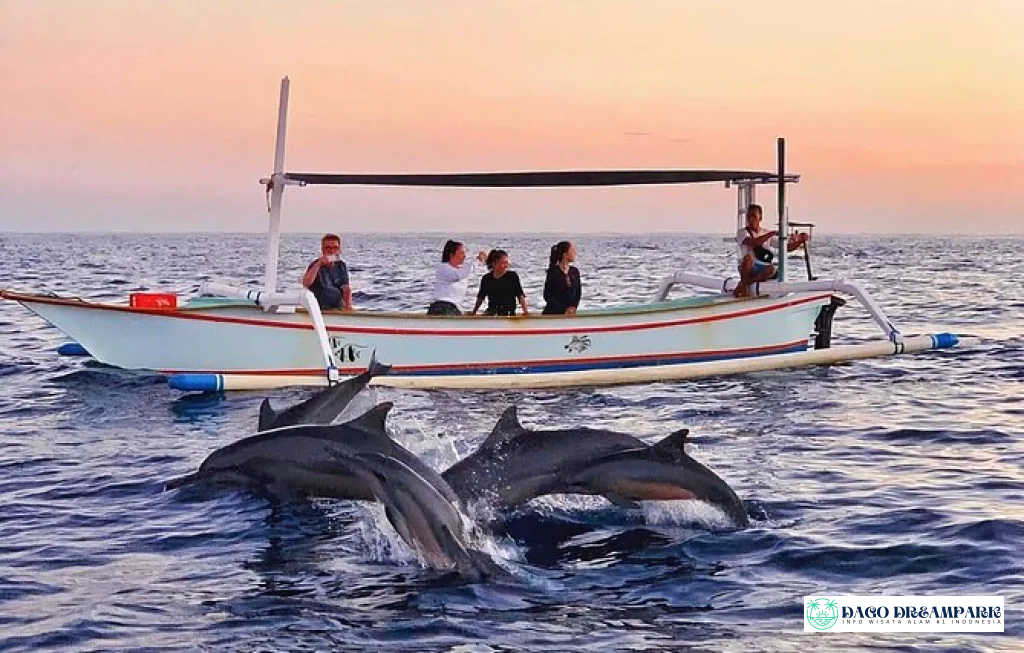 Dolphin Tour Bali Lovina