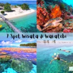 liburan ke Wakatobi
