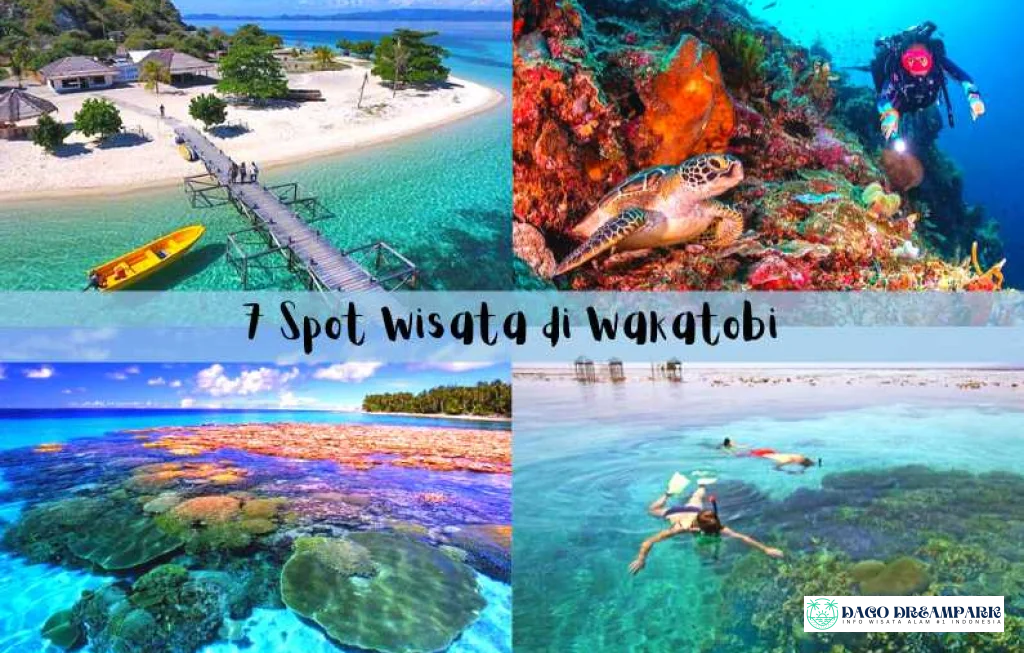 liburan ke Wakatobi