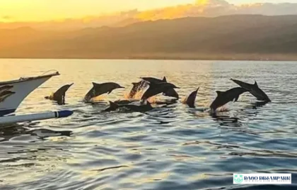 Lovina Tour Bali Utara