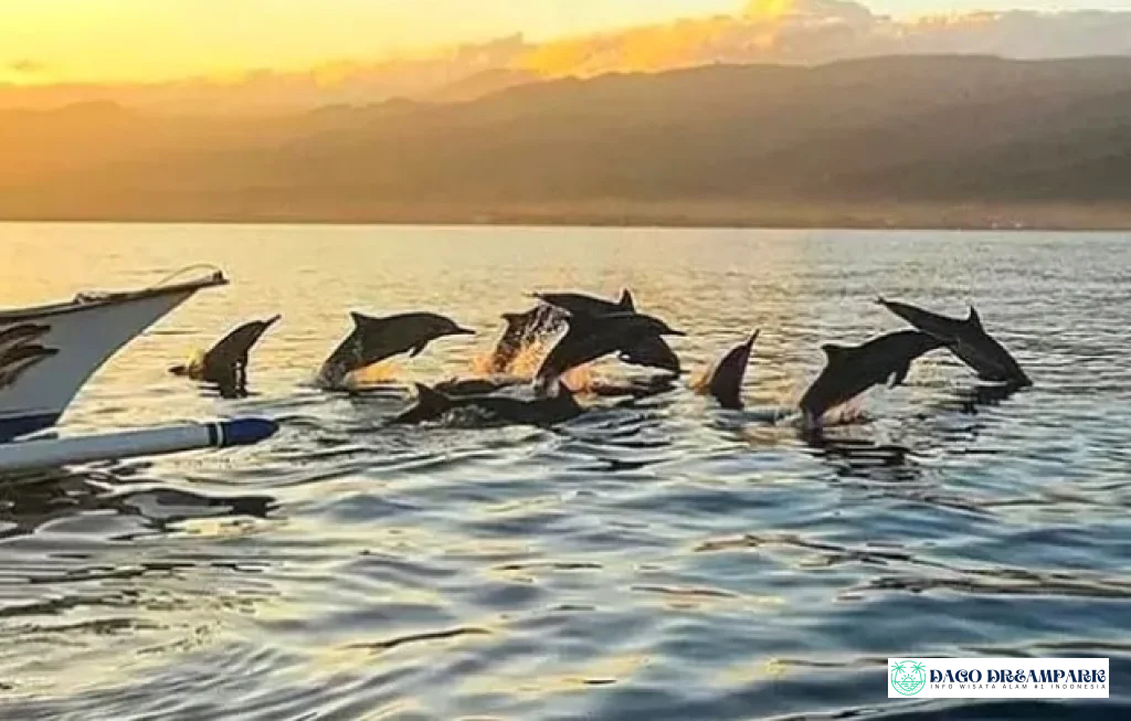 Lovina Tour Bali Utara