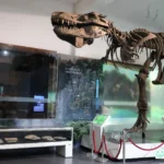 Museum Geologi Bandung
