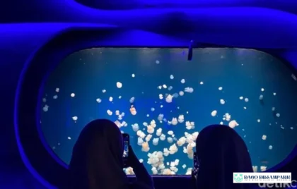 Ngabuburit di Jakarta Aquarium