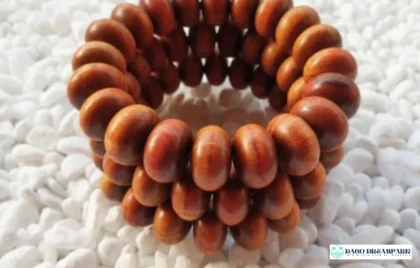 pohon gaharu timur indonesia