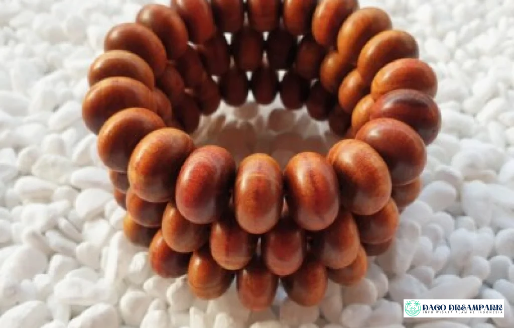 pohon gaharu timur indonesia