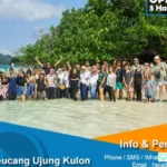 pulau peucang ujung kulon