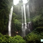 Sekumpul Waterfall Bali