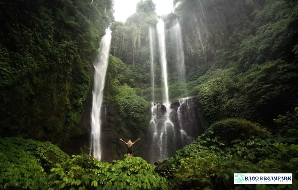 Sekumpul Waterfall Bali