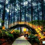 spot menarik orchid forest lembang