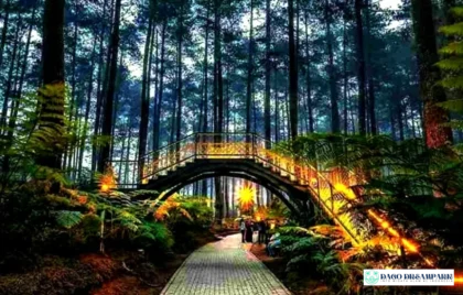 spot menarik orchid forest lembang