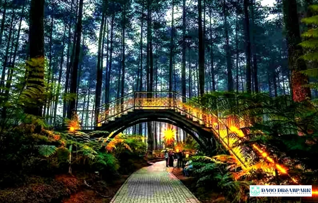 spot menarik orchid forest lembang