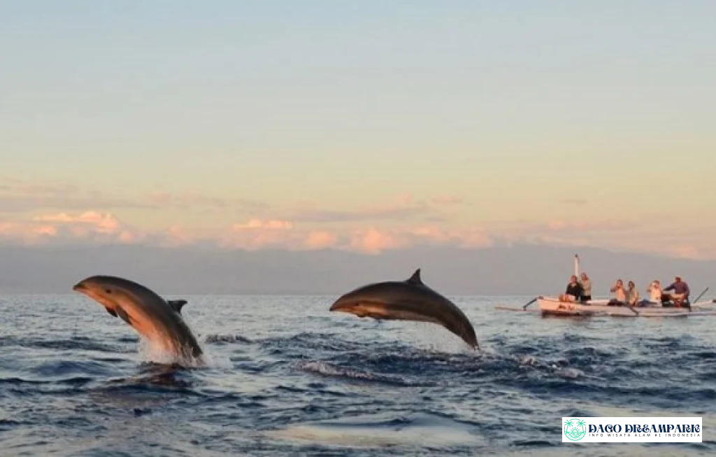 tur Sekumpul Waterfall Lovina Dolphin