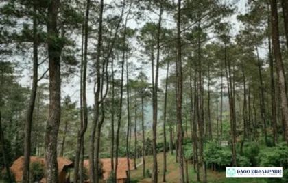 Vanaprastha Gedong Songo Park