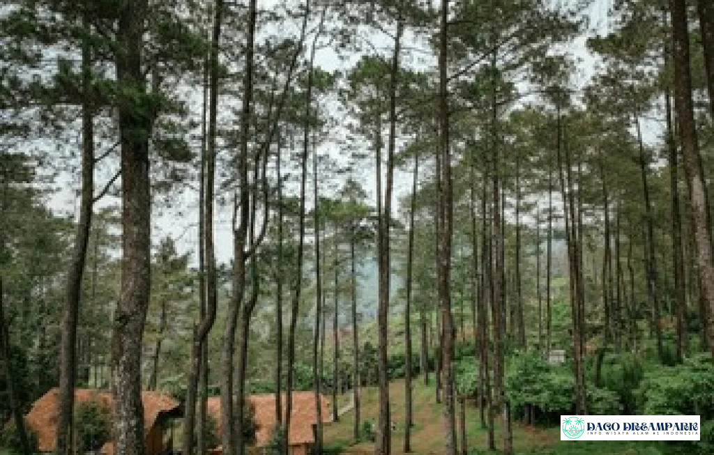 Vanaprastha Gedong Songo Park