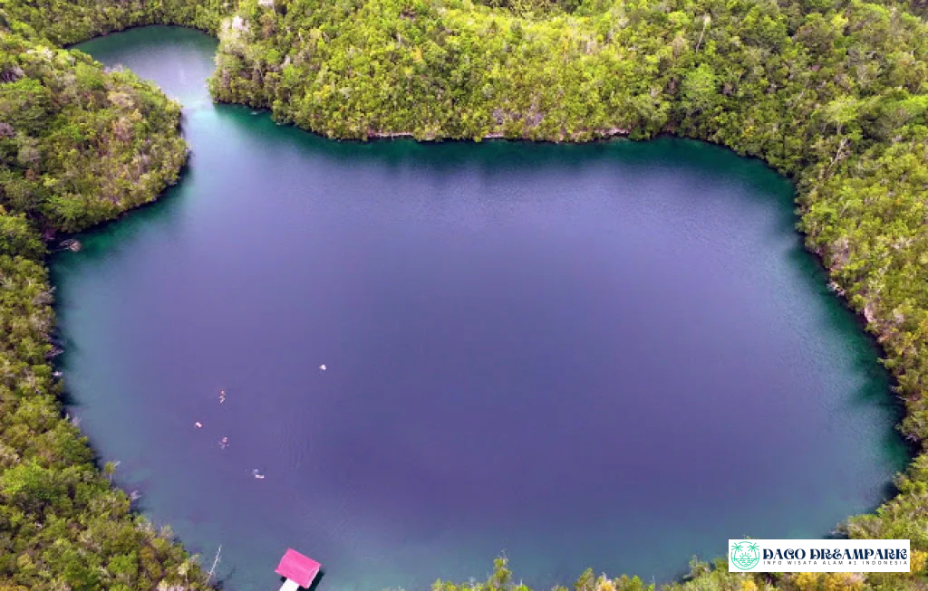 danau ubur ubur togean