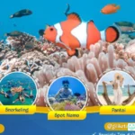 Gili Ketapang Probolinggo snorkeling