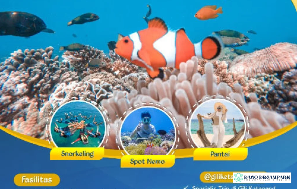 Gili Ketapang Probolinggo snorkeling