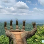 Hutan Pinus Pengger Jogja