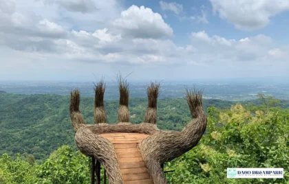 Hutan Pinus Pengger Jogja