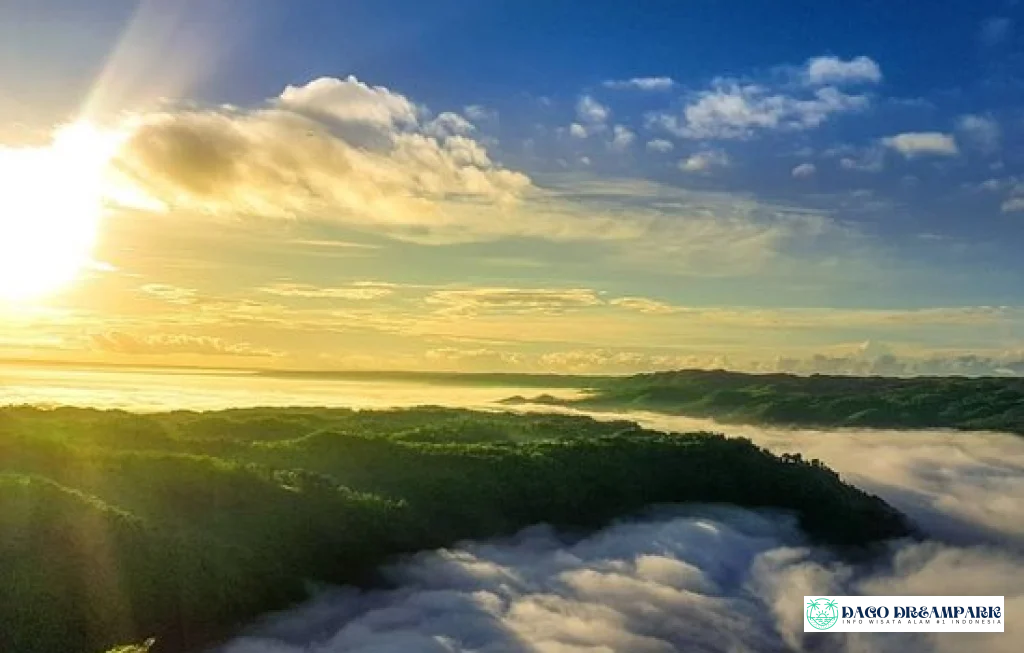 Kebun Buah Mangunan Bantul