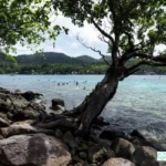 Pulau Rubiah Sabang Andaman