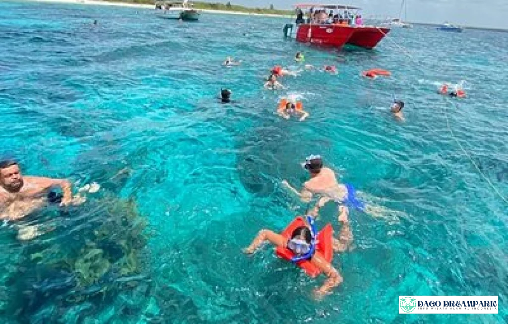 snorkeling Pulau Liukang Loe