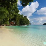 pulau pombo ambon snorkeling