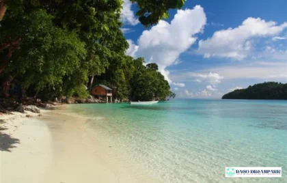 pulau pombo ambon snorkeling