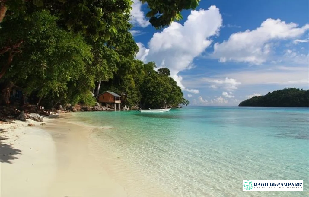 pulau pombo ambon snorkeling