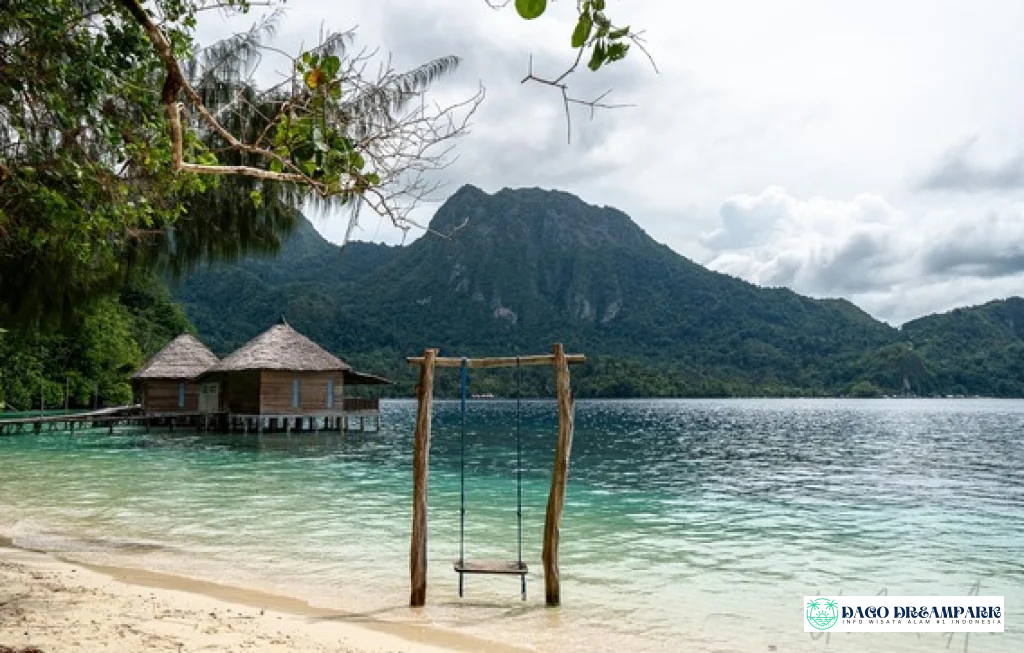 snorkeling Pulau Molana Maluku