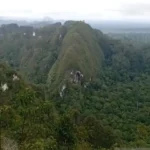 Hutan Kalimantan, Benteng Alam yang Menjaga Sungai dan Satwa Langka